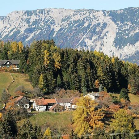 Miniferienwohnung Fuer Unkompliziertes Naturliebhaberpaerchen パイエルバッハ エクステリア 写真