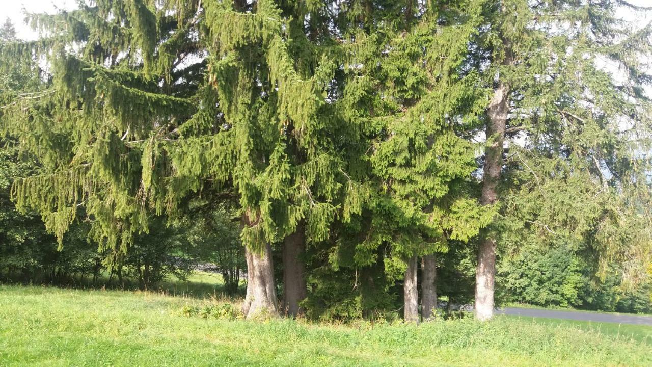 Miniferienwohnung Fuer Unkompliziertes Naturliebhaberpaerchen パイエルバッハ エクステリア 写真